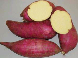 Sweet Potato - Golden Flesh